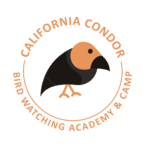California Condor Picture