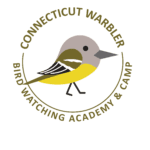 Connecticut Warbler Picture