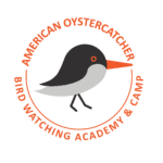 American Oystercatcher Picture