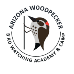 Arizona Woodpecker Picture