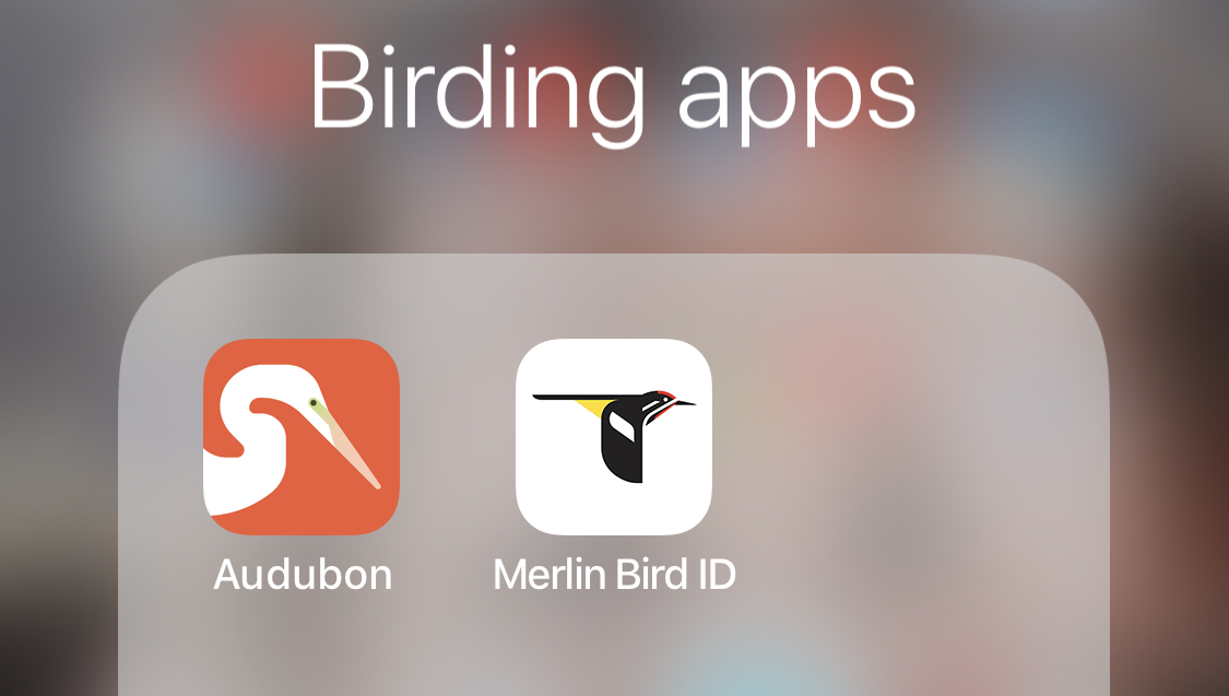Birding Apps