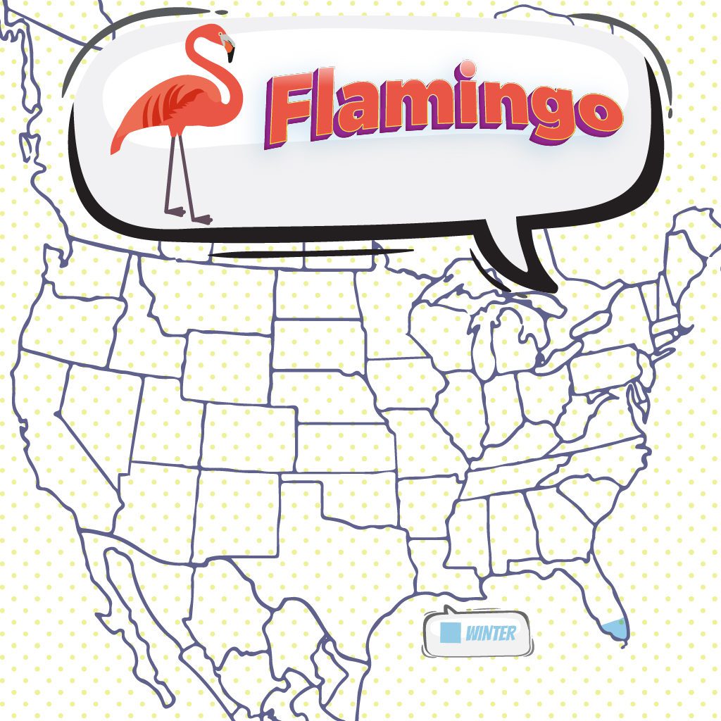 Greater flamingo range